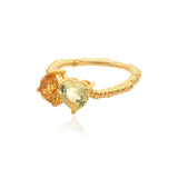 Love Colours Ring | 18ct Gold