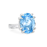 Smooth Scalp Topaz Ring | 18ct White Gold